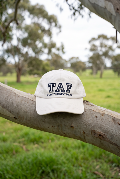 Cream dad cap with TAF varsity embroidery on gum branch