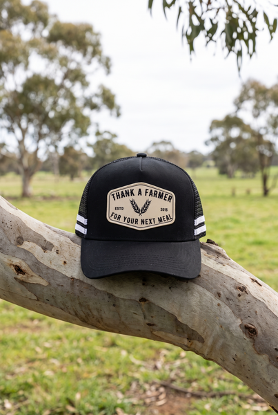 Black stripe trucker cap with cream Thank A Farmer patch on gum branch