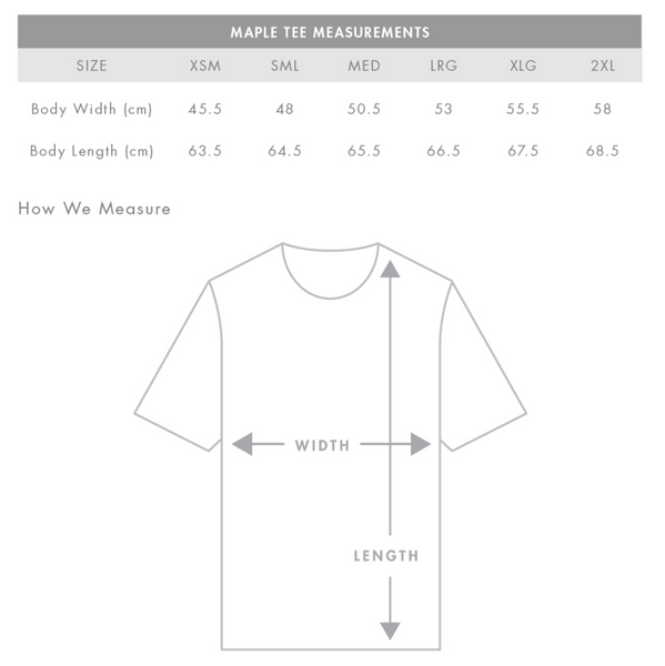 Ladies Logo Tee - Grey